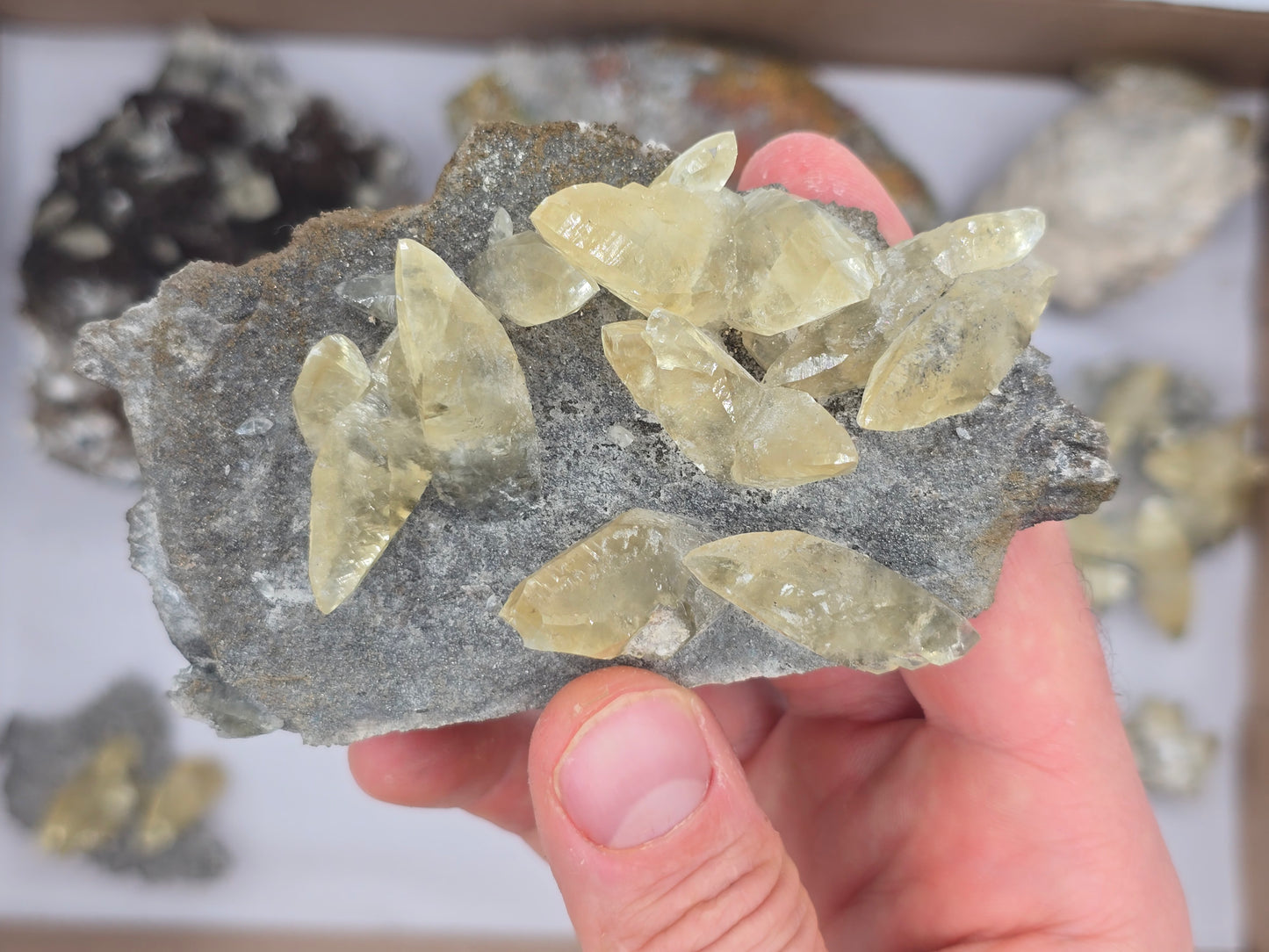 Sweetwater Calcite Flat #2