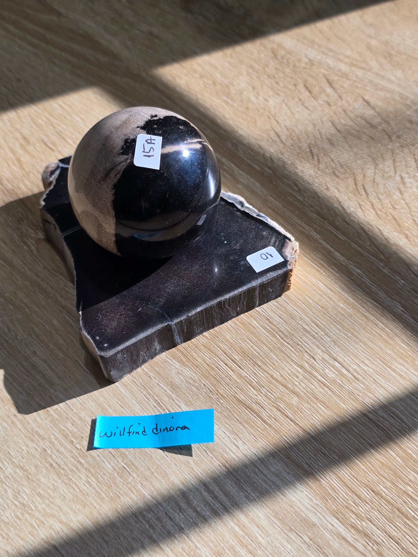 Willfinddinora 12/7 live sale