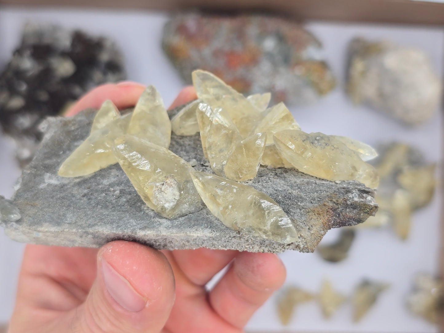Sweetwater Calcite Flat #2