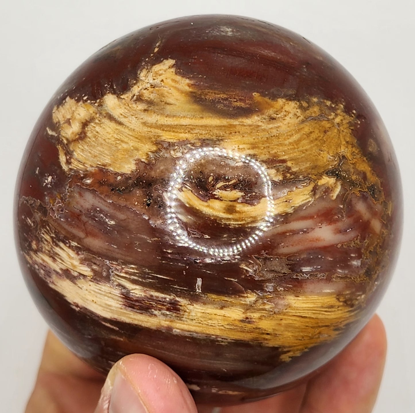 Petrified Wood Sphere || Red Petrified Wood || Polished Petrified Wood Sphere