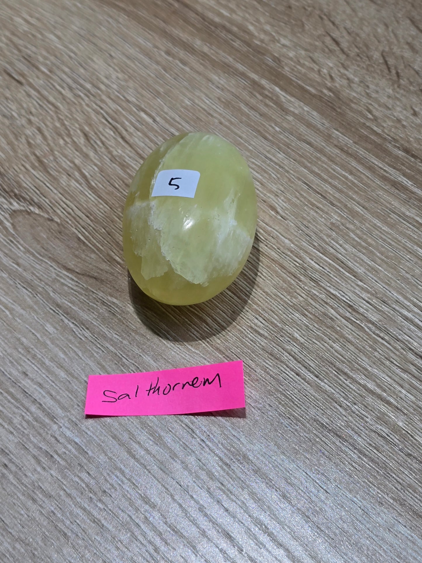 Salthornem