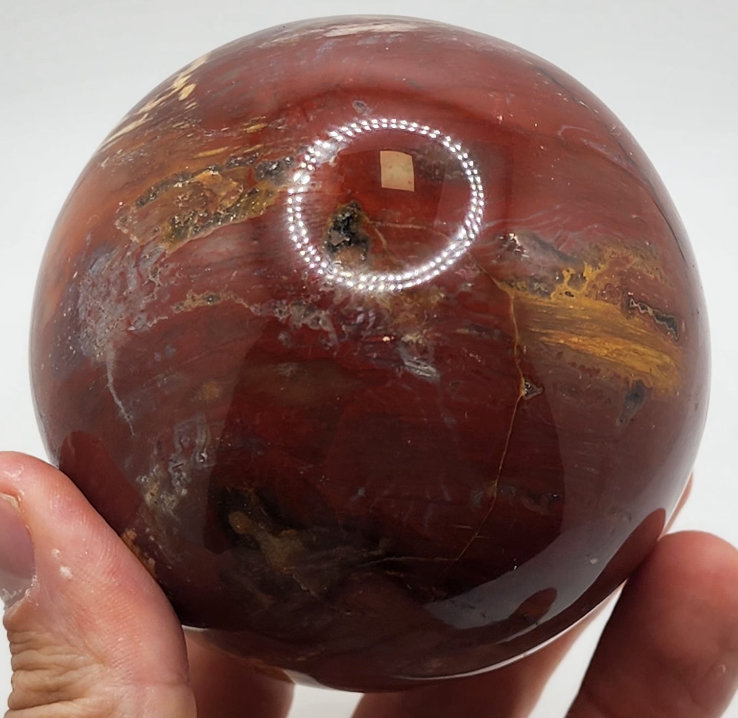Petrified Wood Sphere || Red Petrified Wood || Polished Petrified Wood Sphere