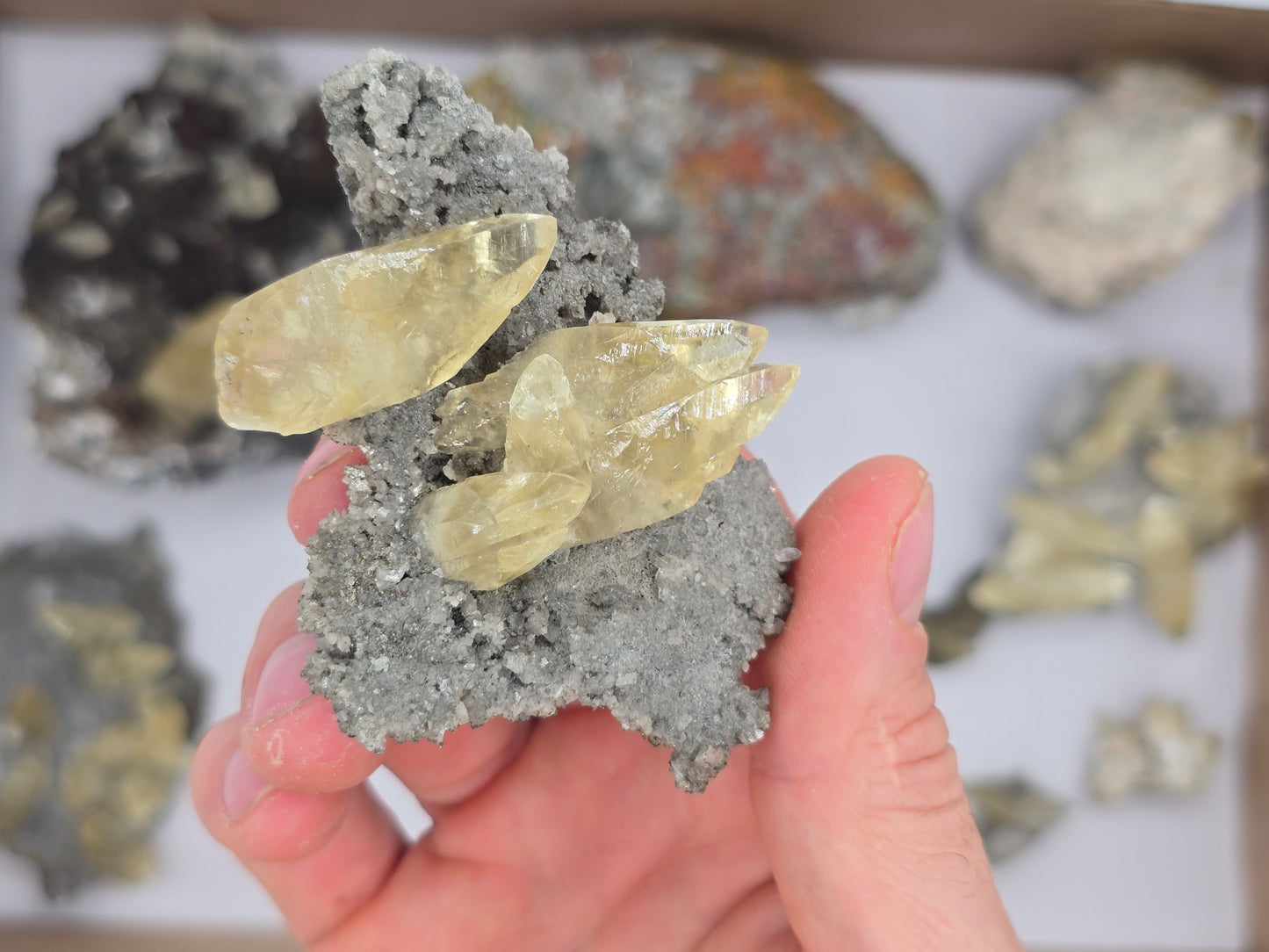 Sweetwater Calcite Flat #2
