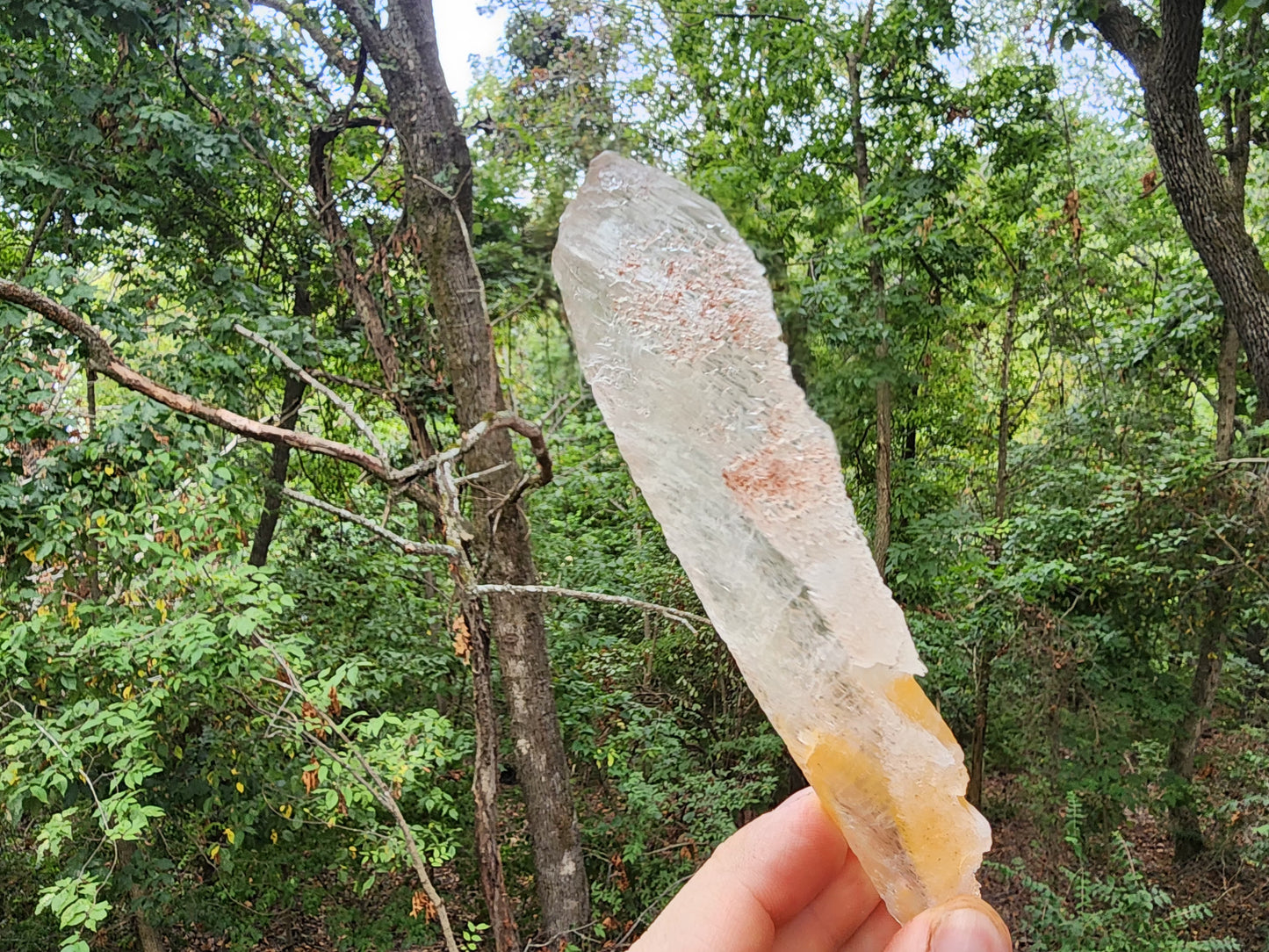 Raw Golden Phantom Selenite Wands, Sacral Selenite, Utah Selenite Slices