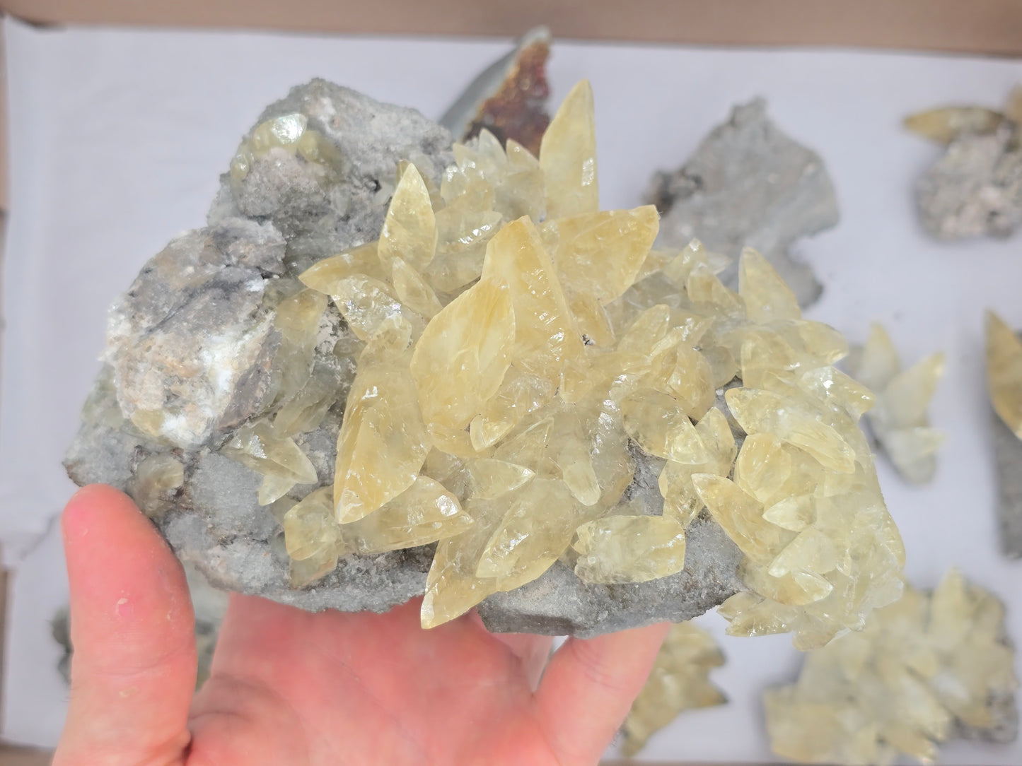 Sweetwater Calcite Flat #6