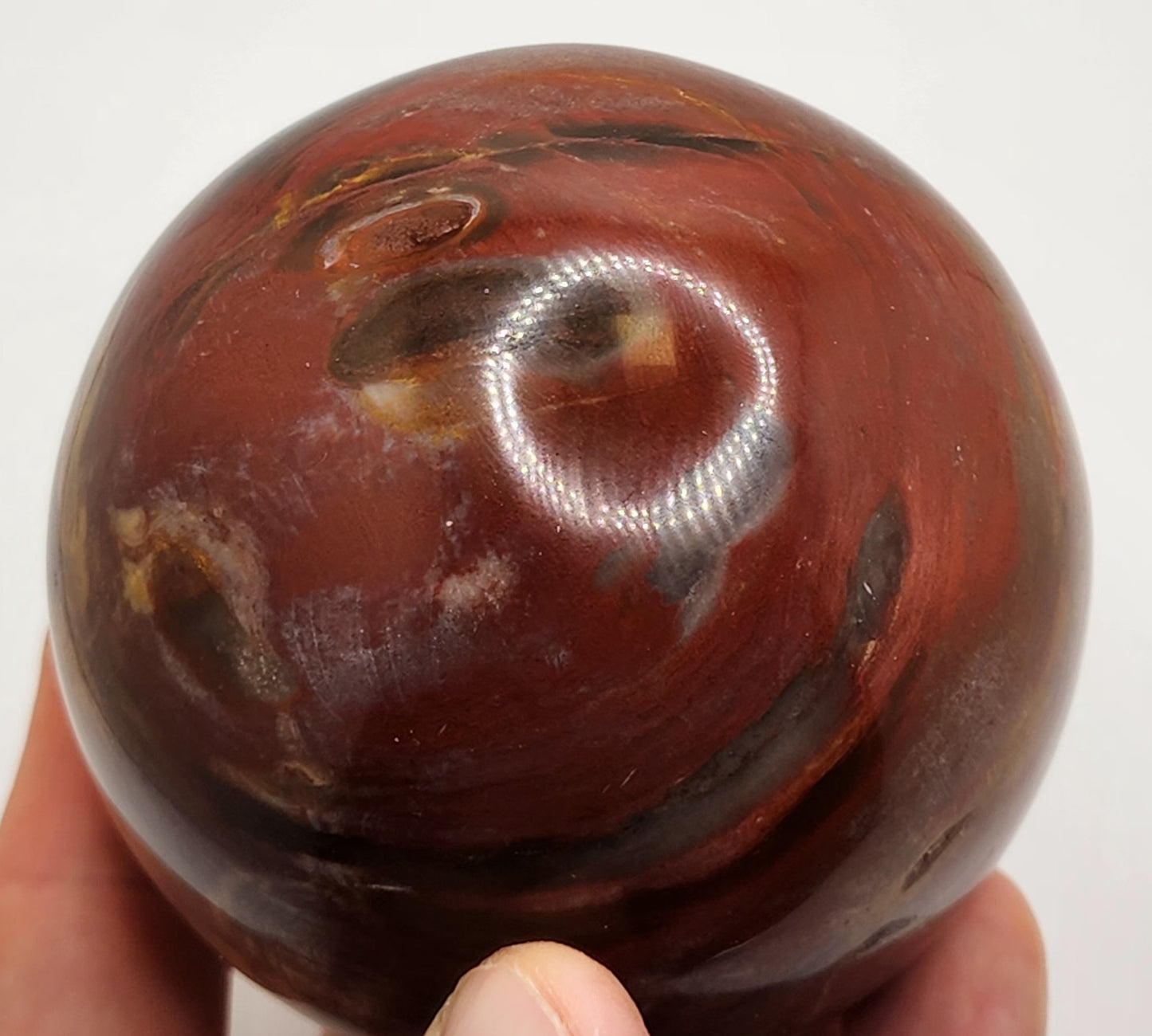 Petrified Wood Sphere || Red Petrified Wood || Polished Petrified Wood Sphere