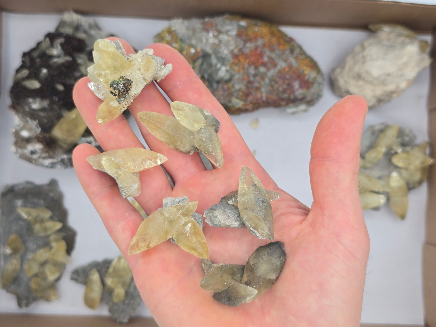 Sweetwater Calcite Flat #2