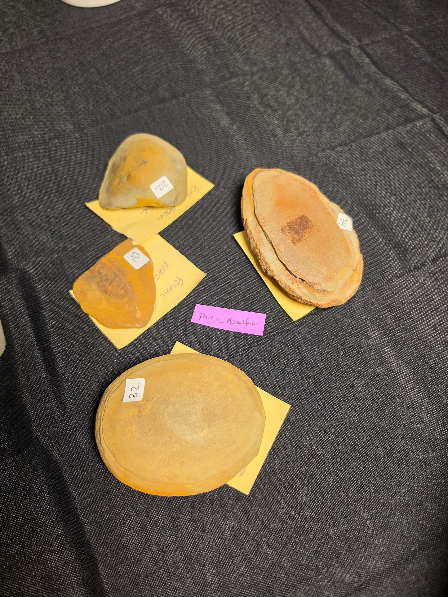 Paleo_mom_lfaw 8/19 live sale