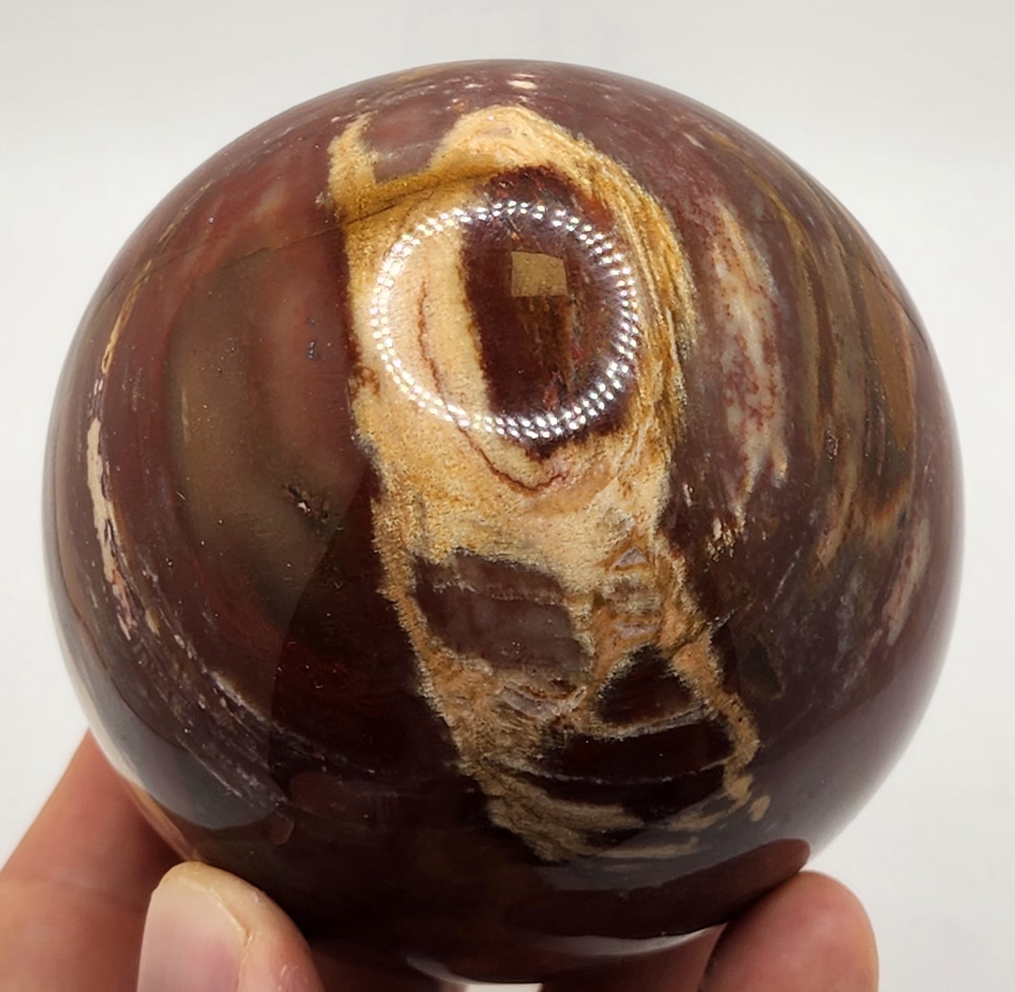 Petrified Wood Sphere || Red Petrified Wood || Polished Petrified Wood Sphere