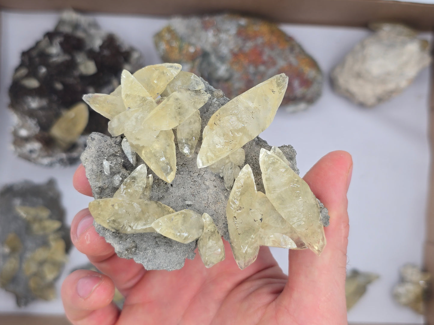 Sweetwater Calcite Flat #2