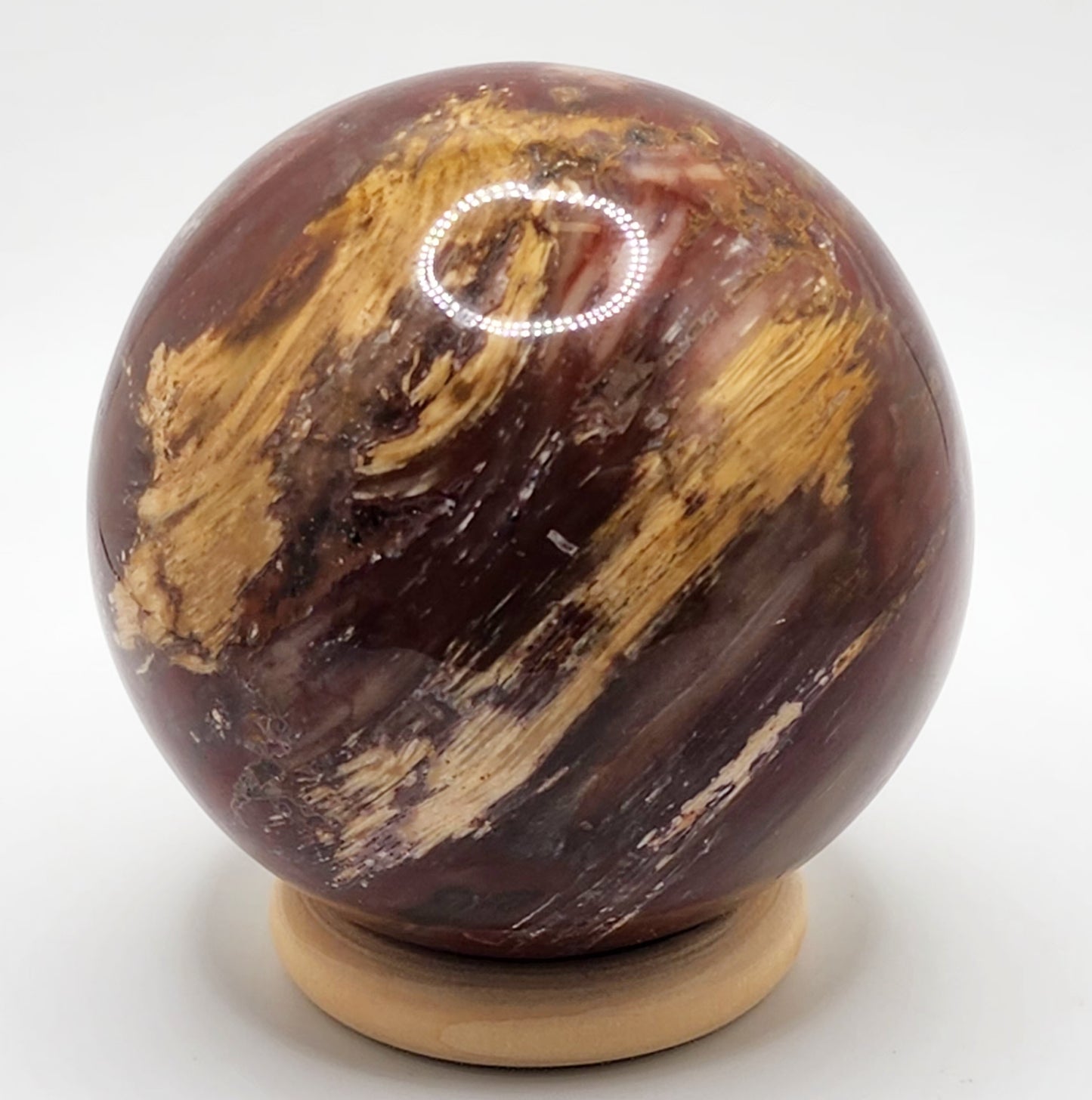 Petrified Wood Sphere || Red Petrified Wood || Polished Petrified Wood Sphere