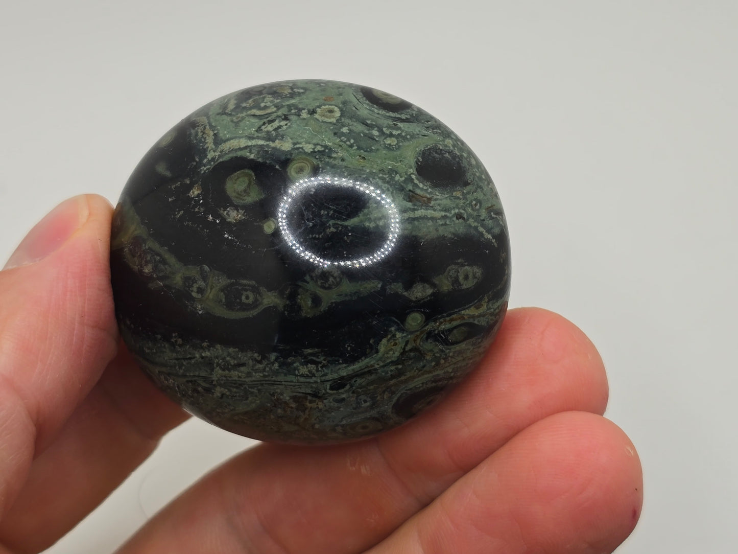 Kambaba Jasper Palmstone
