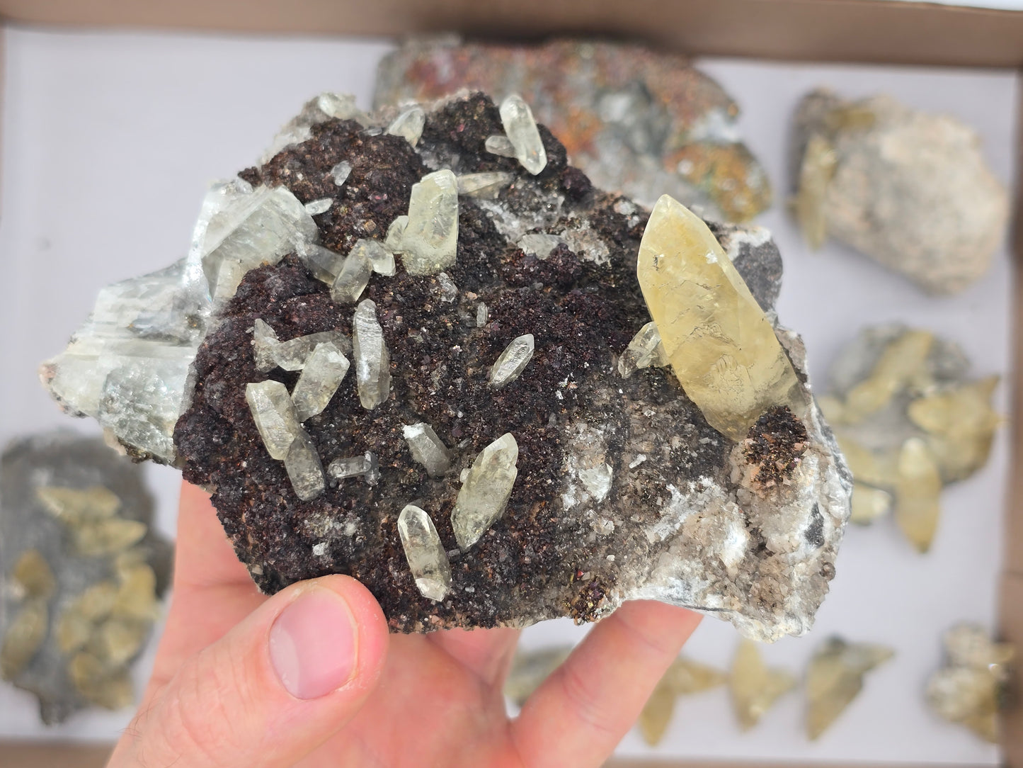 Sweetwater Calcite Flat #2