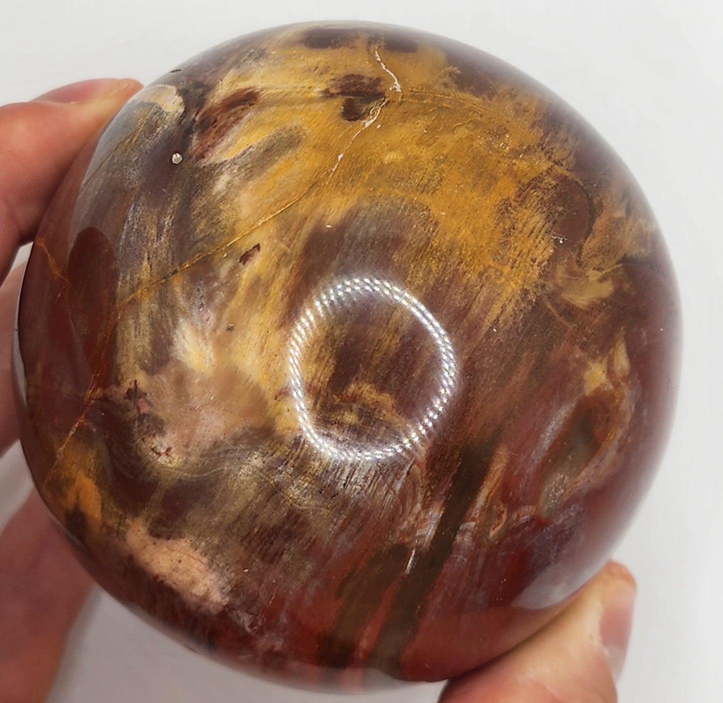 Petrified Wood Sphere || Red Petrified Wood || Polished Petrified Wood Sphere