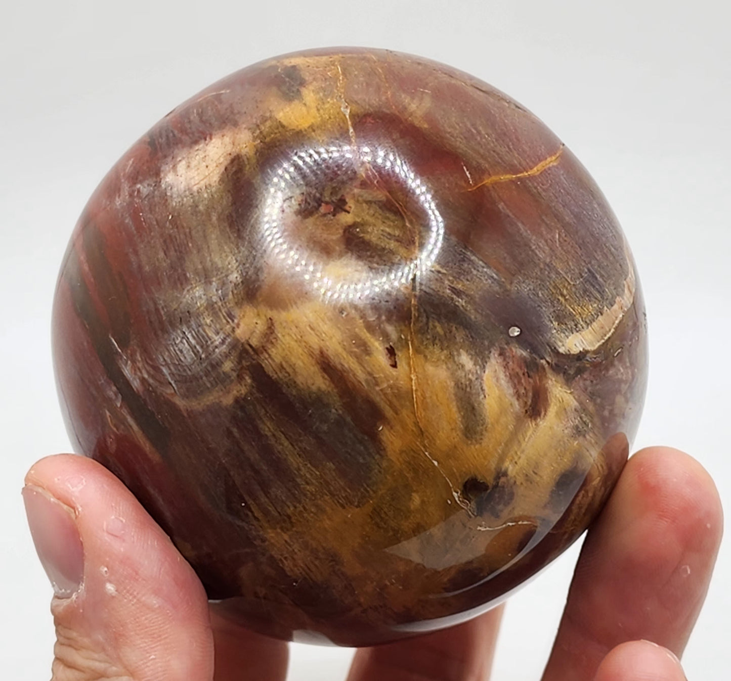 Petrified Wood Sphere || Red Petrified Wood || Polished Petrified Wood Sphere