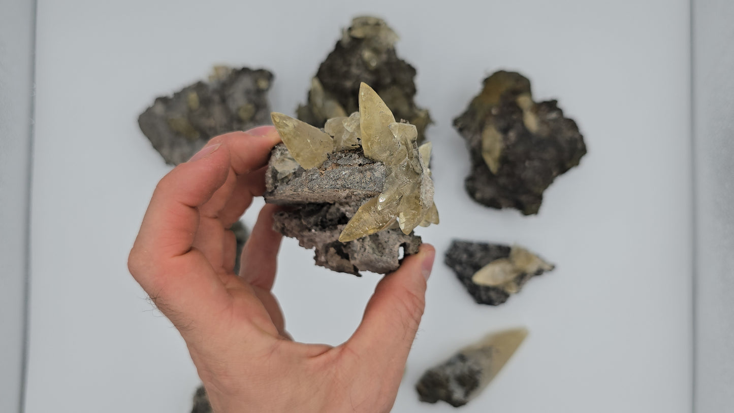 Sweetwater Calcite Flat #6