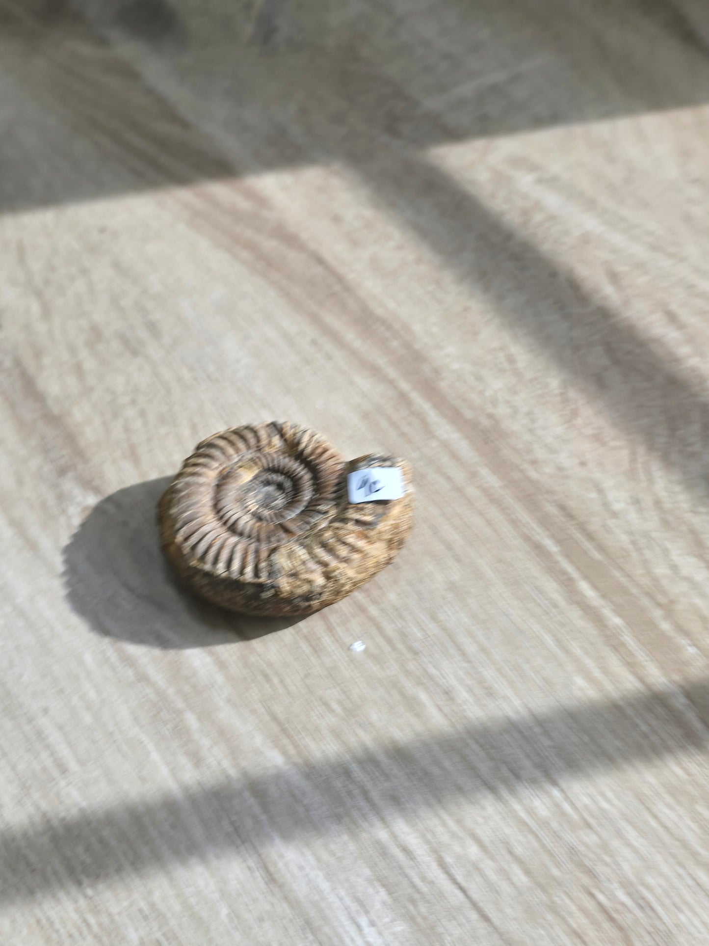 Melinaz_virgo 11/18 live sale