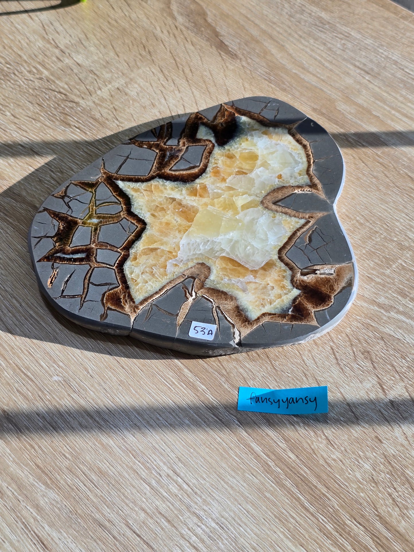 Fansyyansy 12/5 live sale