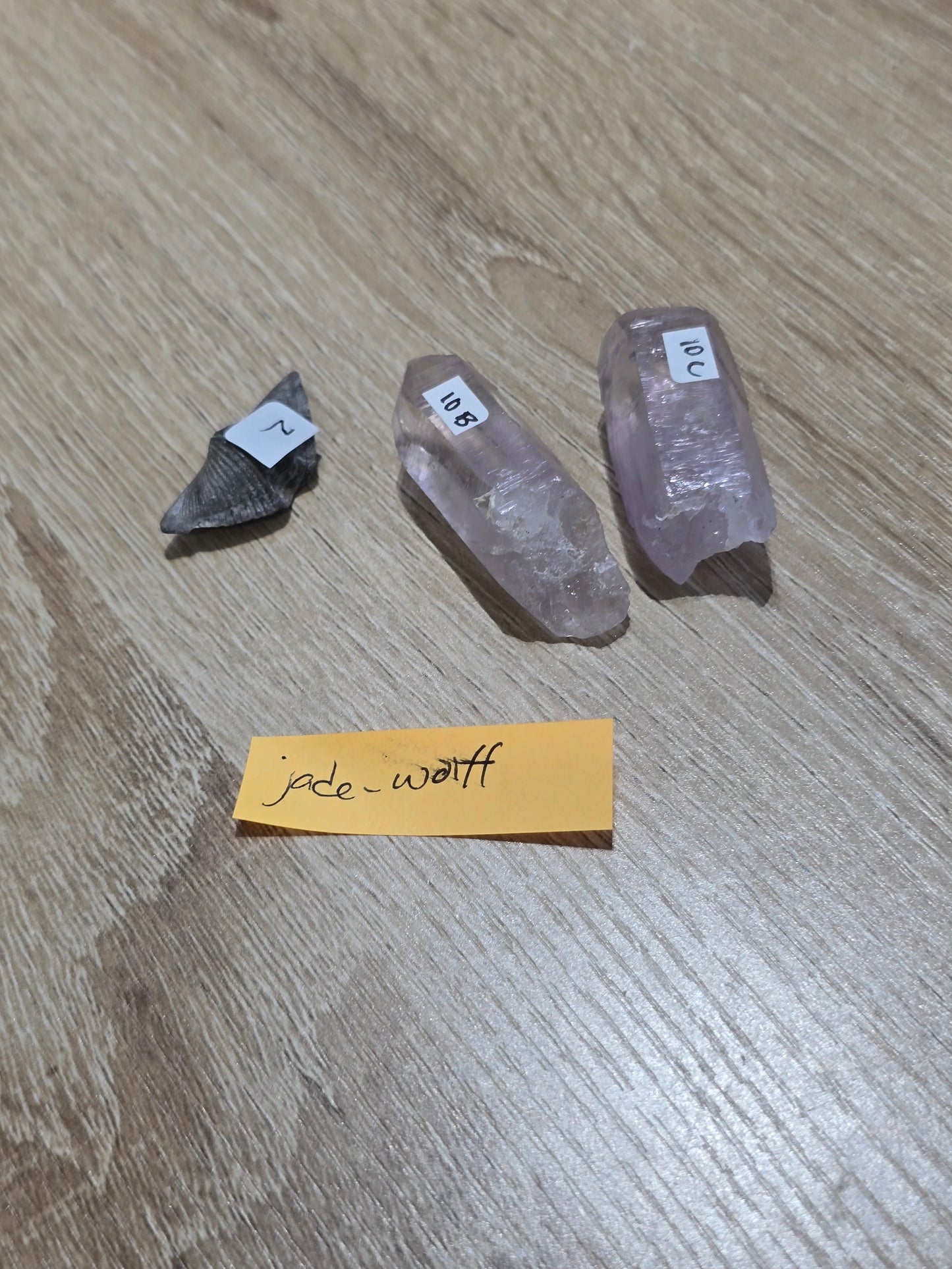Jade_wolff 6/28 live sale