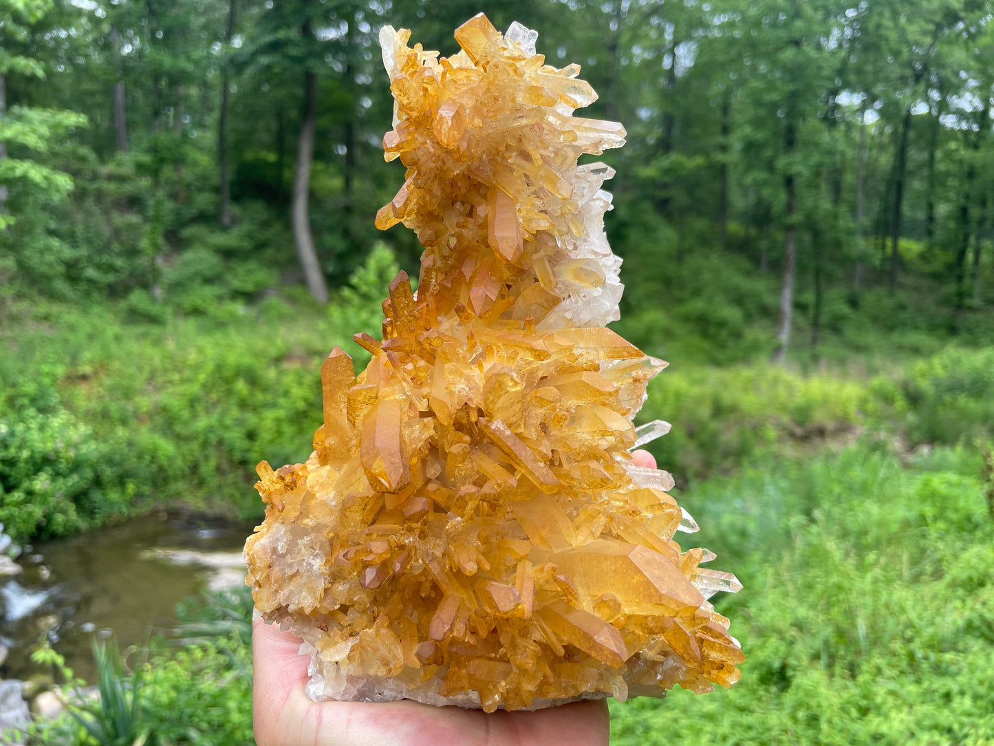 Golden Healer Quartz Crystal Cluster || Raw Quartz Cluster || Lemurian Quartz Cluster