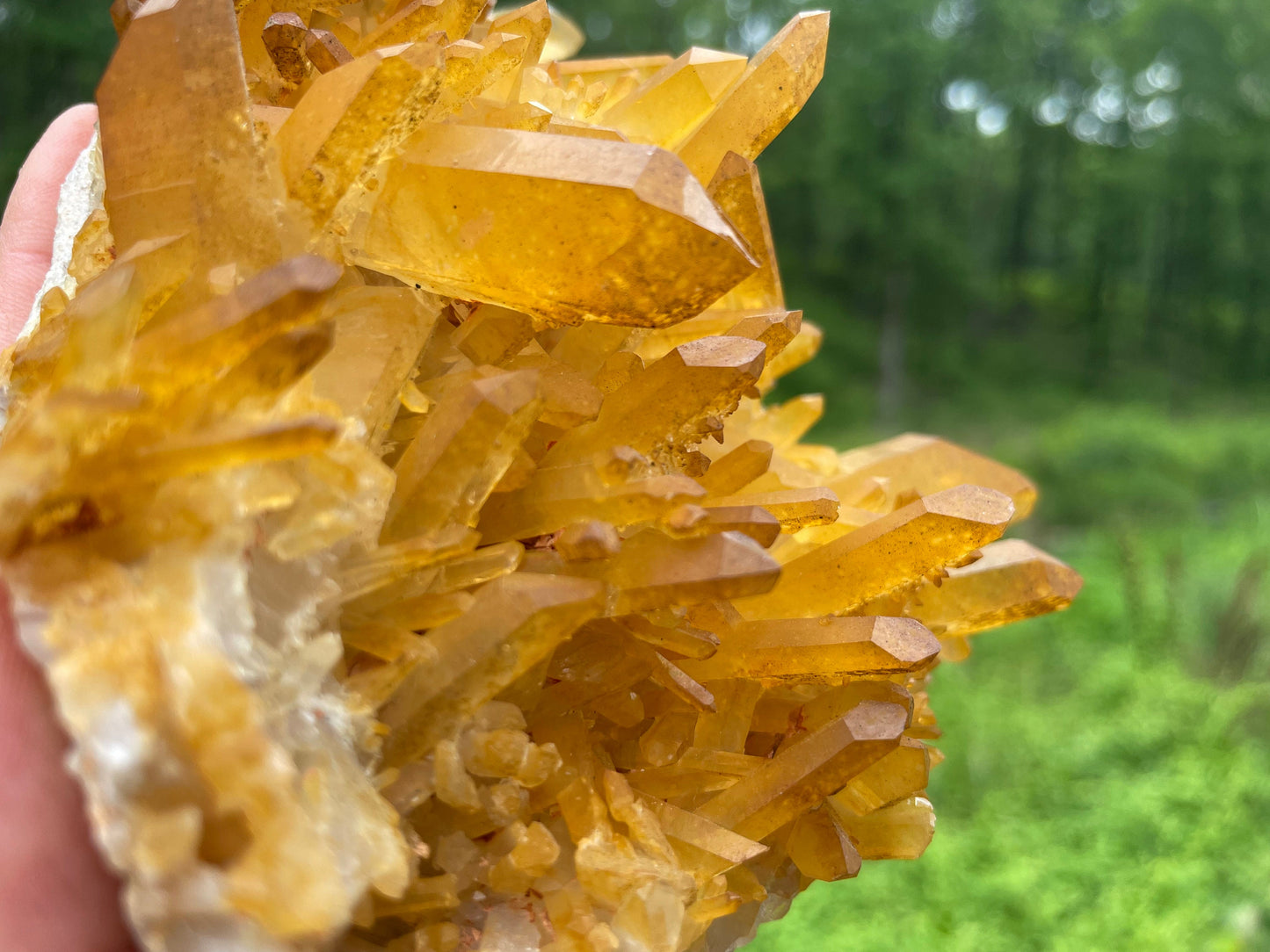 Golden Healer Quartz Crystal Cluster || Raw Quartz Cluster || Lemurian Quartz Cluster