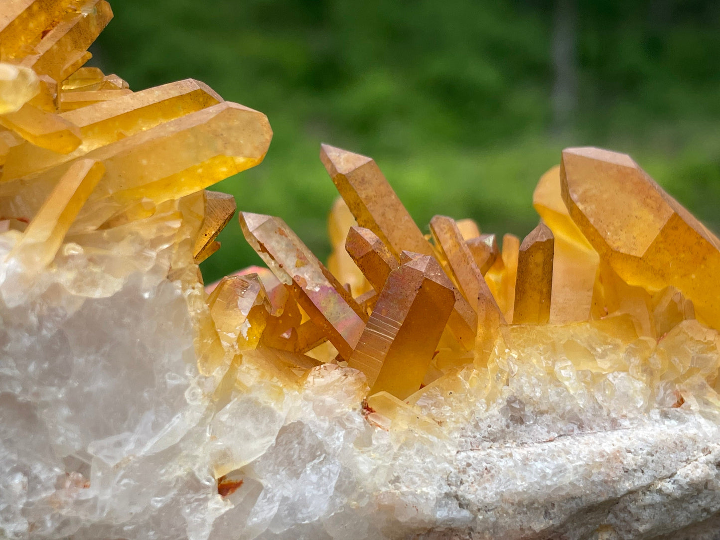 Golden Healer Quartz Crystal Cluster || Raw Quartz Cluster || Lemurian Quartz Cluster
