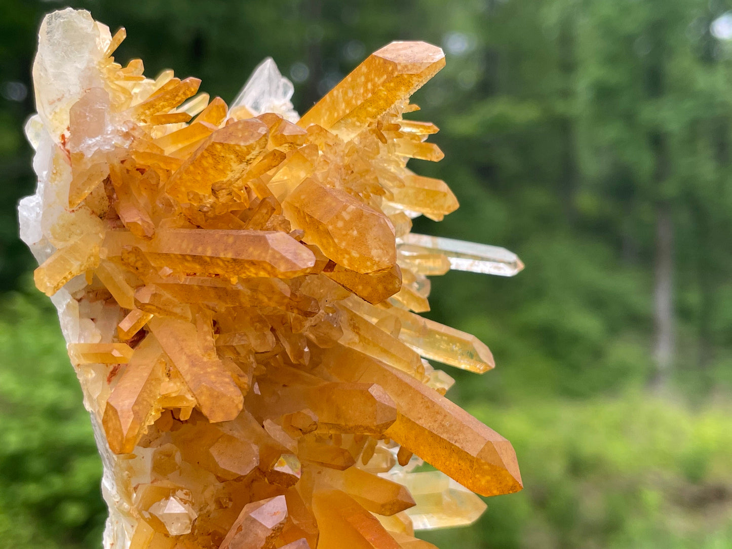 Golden Healer Quartz Crystal Cluster || Raw Quartz Cluster || Lemurian Quartz Cluster