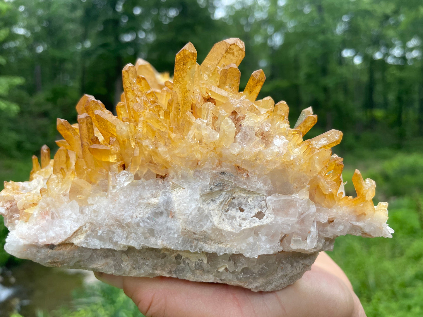Golden Healer Quartz Crystal Cluster || Raw Quartz Cluster || Lemurian Quartz Cluster