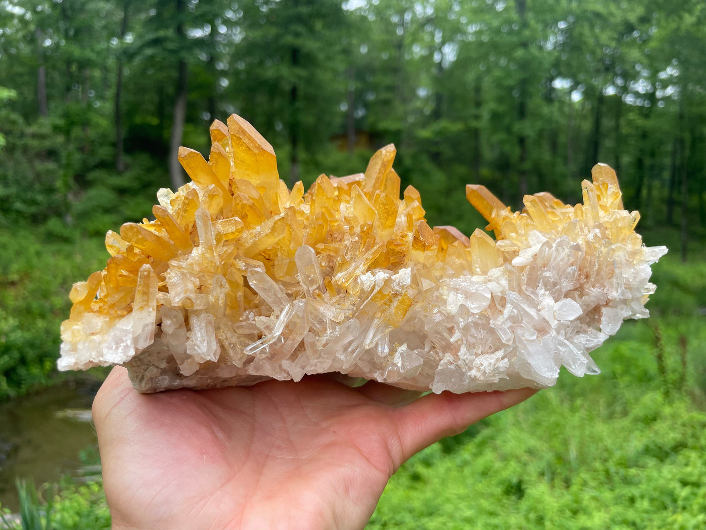 Golden Healer Quartz Crystal Cluster || Raw Quartz Cluster || Lemurian Quartz Cluster