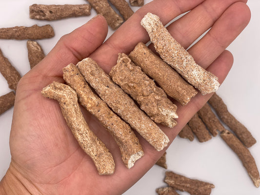 Fulgurite || Fulgurite Crystal || Fulgurite Stone || Lightning Stone || Choose Your Size