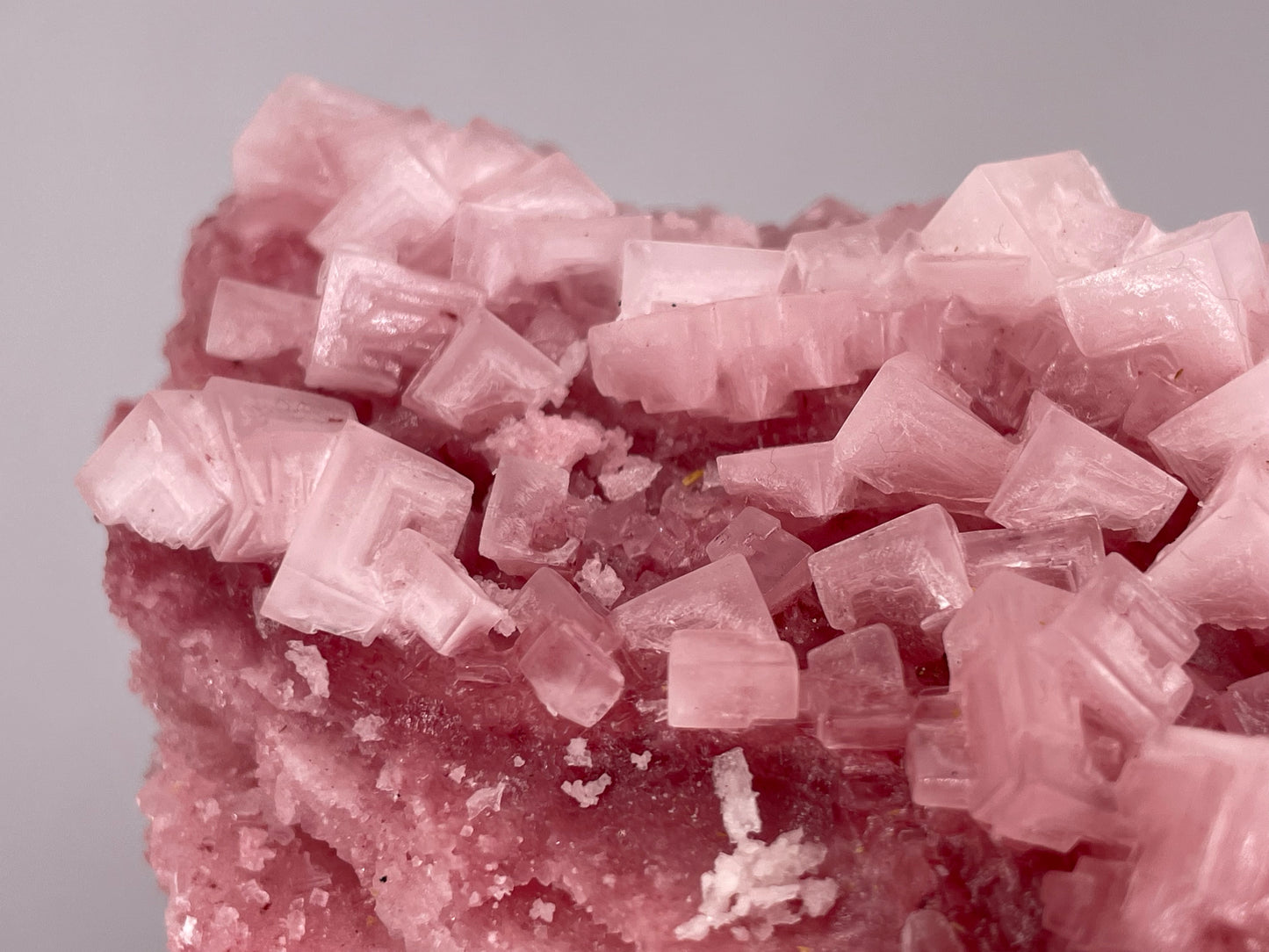 Halite Crystal Cluster || Raw Halite Cluster || Pink Halite - Searles Lake