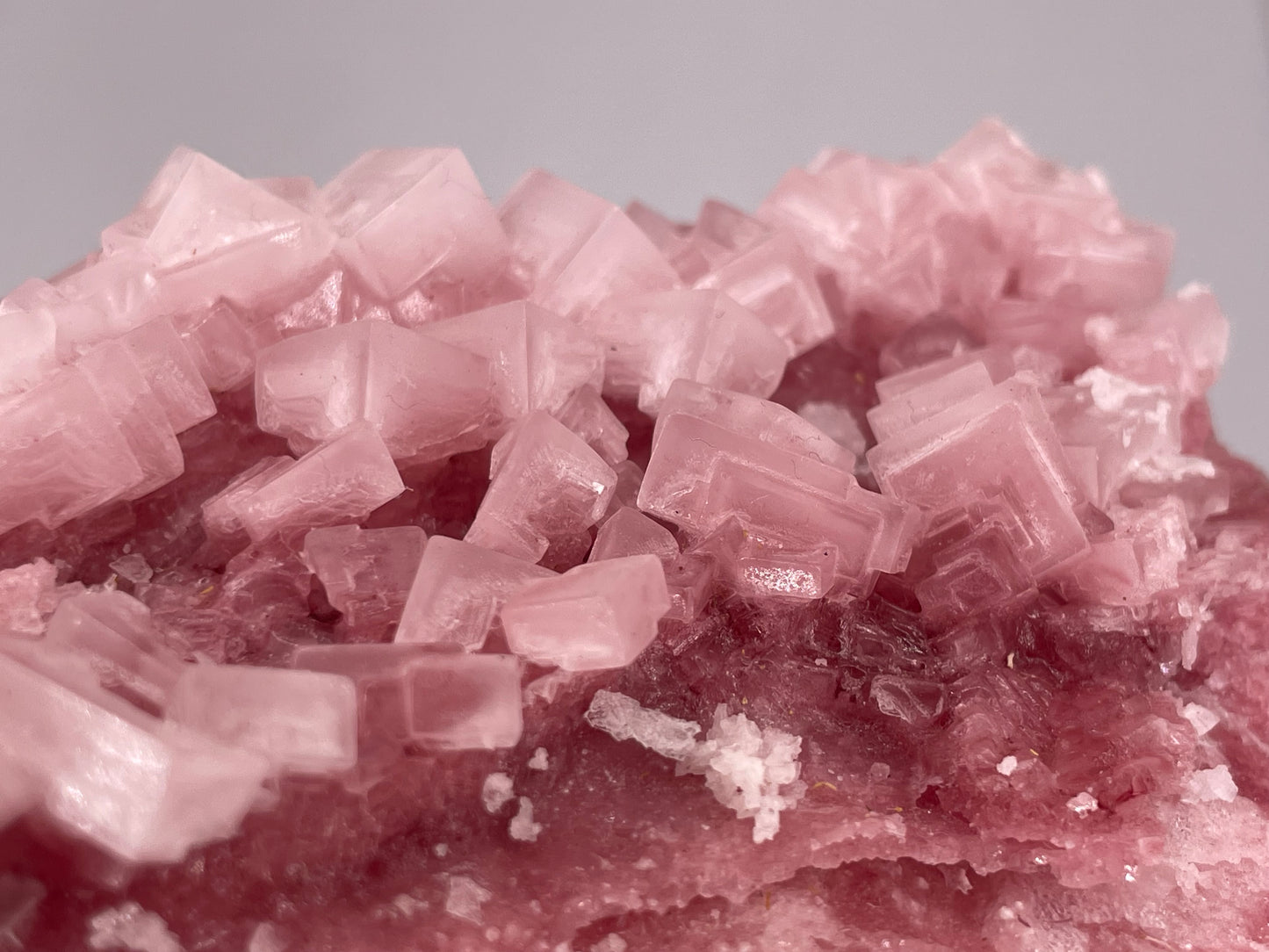 Halite Crystal Cluster || Raw Halite Cluster || Pink Halite - Searles Lake