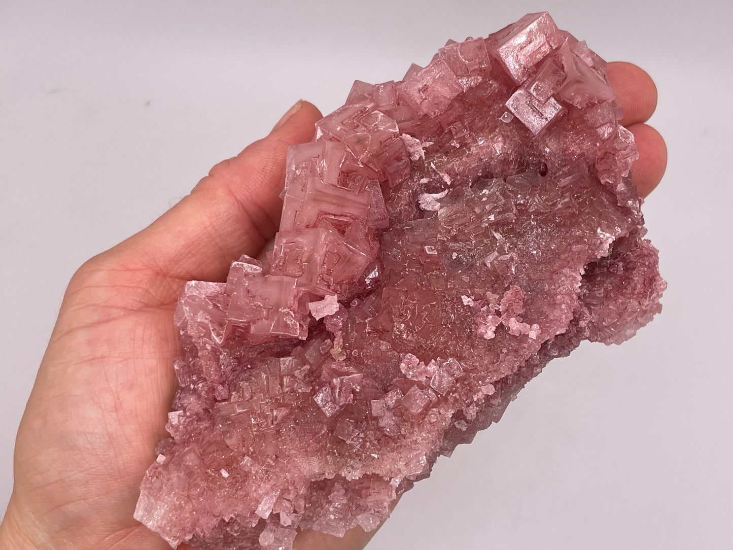 Halite Crystal Cluster || Raw Halite Cluster || Pink Halite - Searles Lake