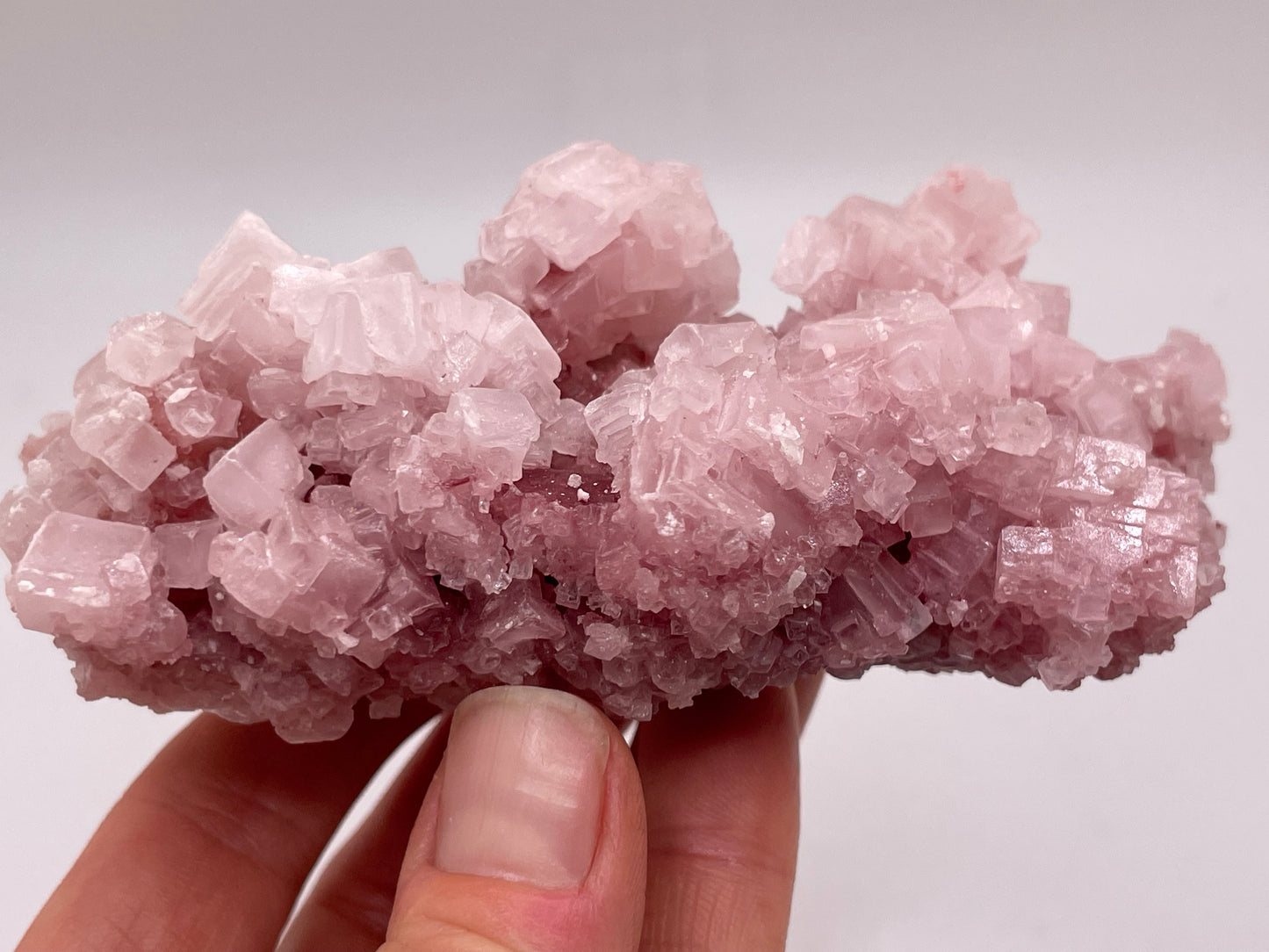 Halite Crystal Cluster || Raw Halite Cluster || Pink Halite - Searles Lake