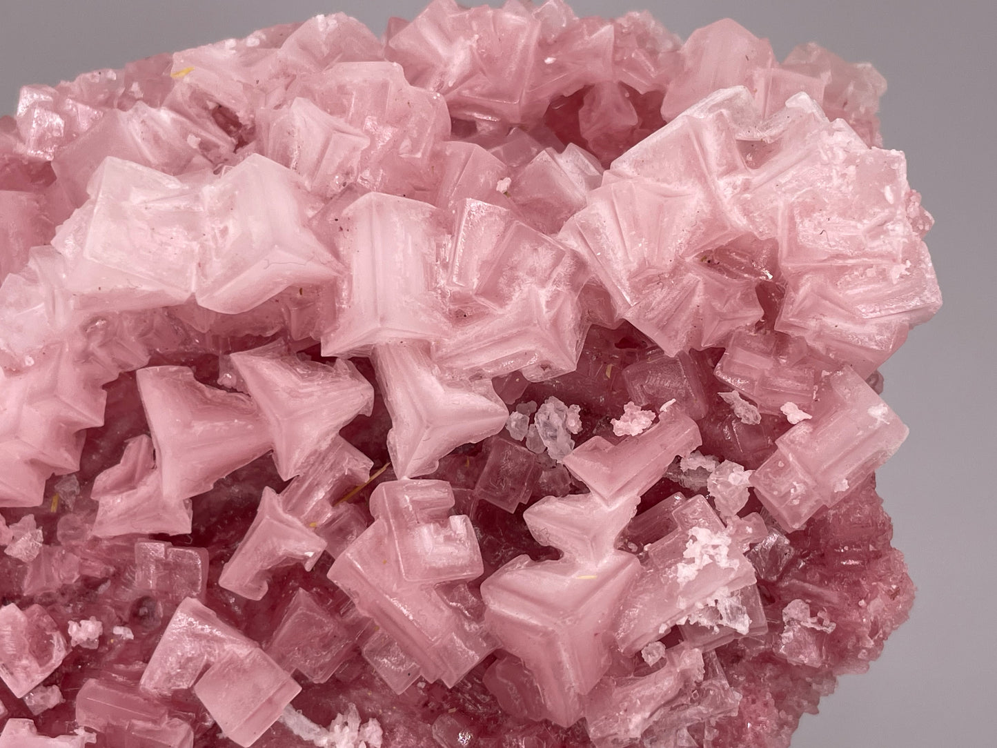 Halite Crystal Cluster || Raw Halite Cluster || Pink Halite - Searles Lake