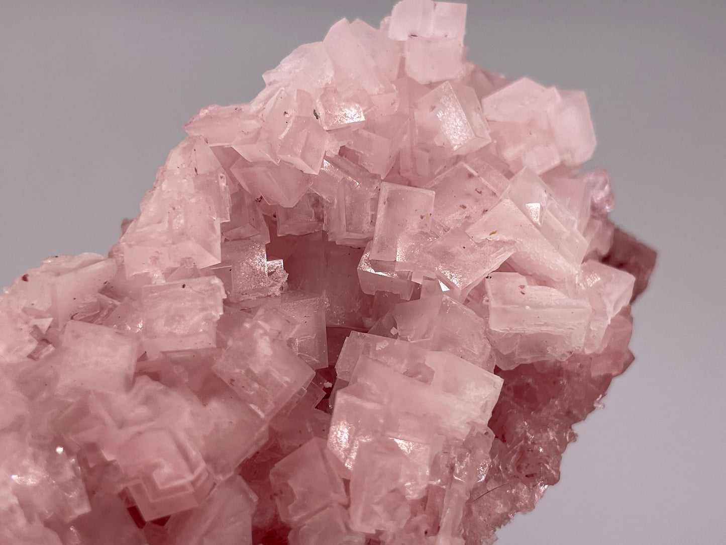 Halite Crystal Cluster || Raw Halite Cluster || Pink Halite - Searles Lake