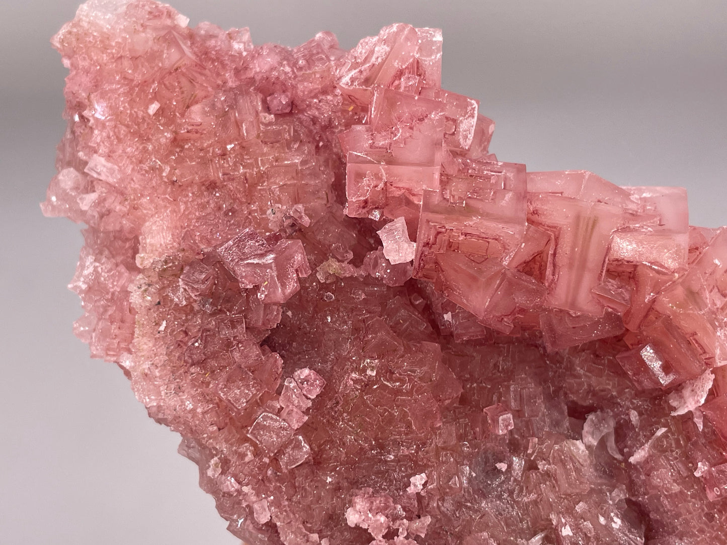 Halite Crystal Cluster || Raw Halite Cluster || Pink Halite - Searles Lake