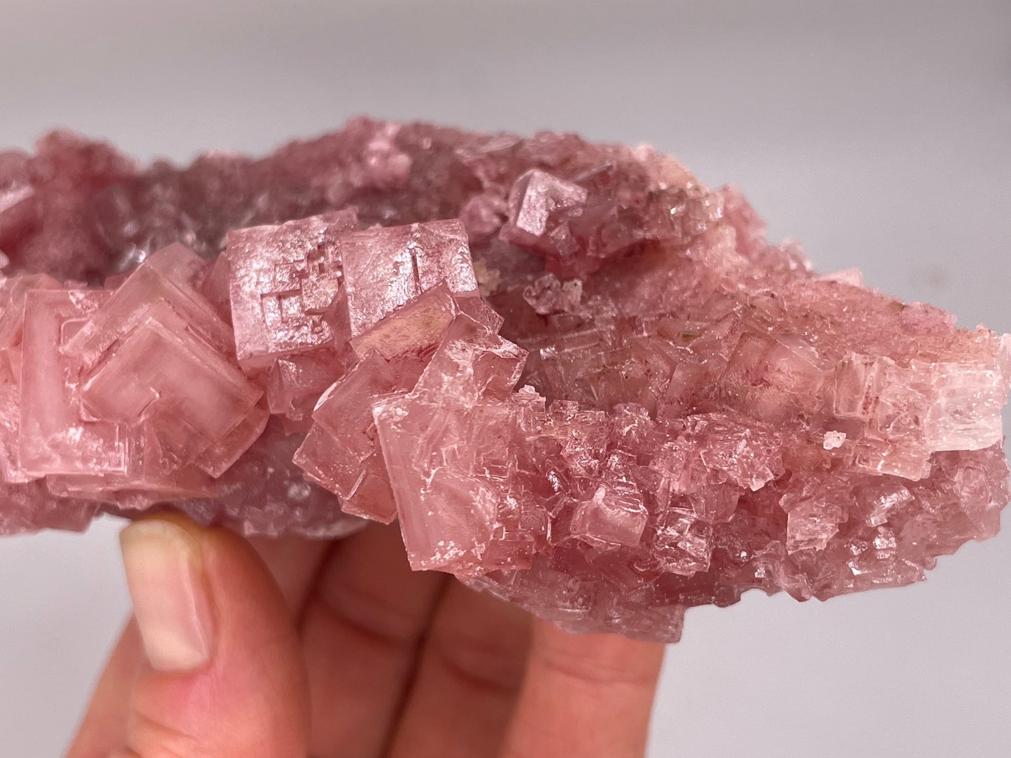 Halite Crystal Cluster || Raw Halite Cluster || Pink Halite - Searles Lake