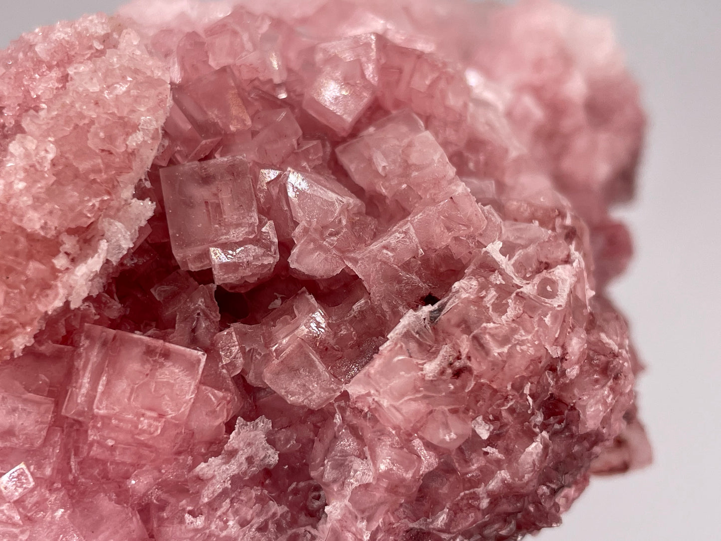 Halite Crystal Cluster || Raw Halite Cluster || Pink Halite - Searles Lake