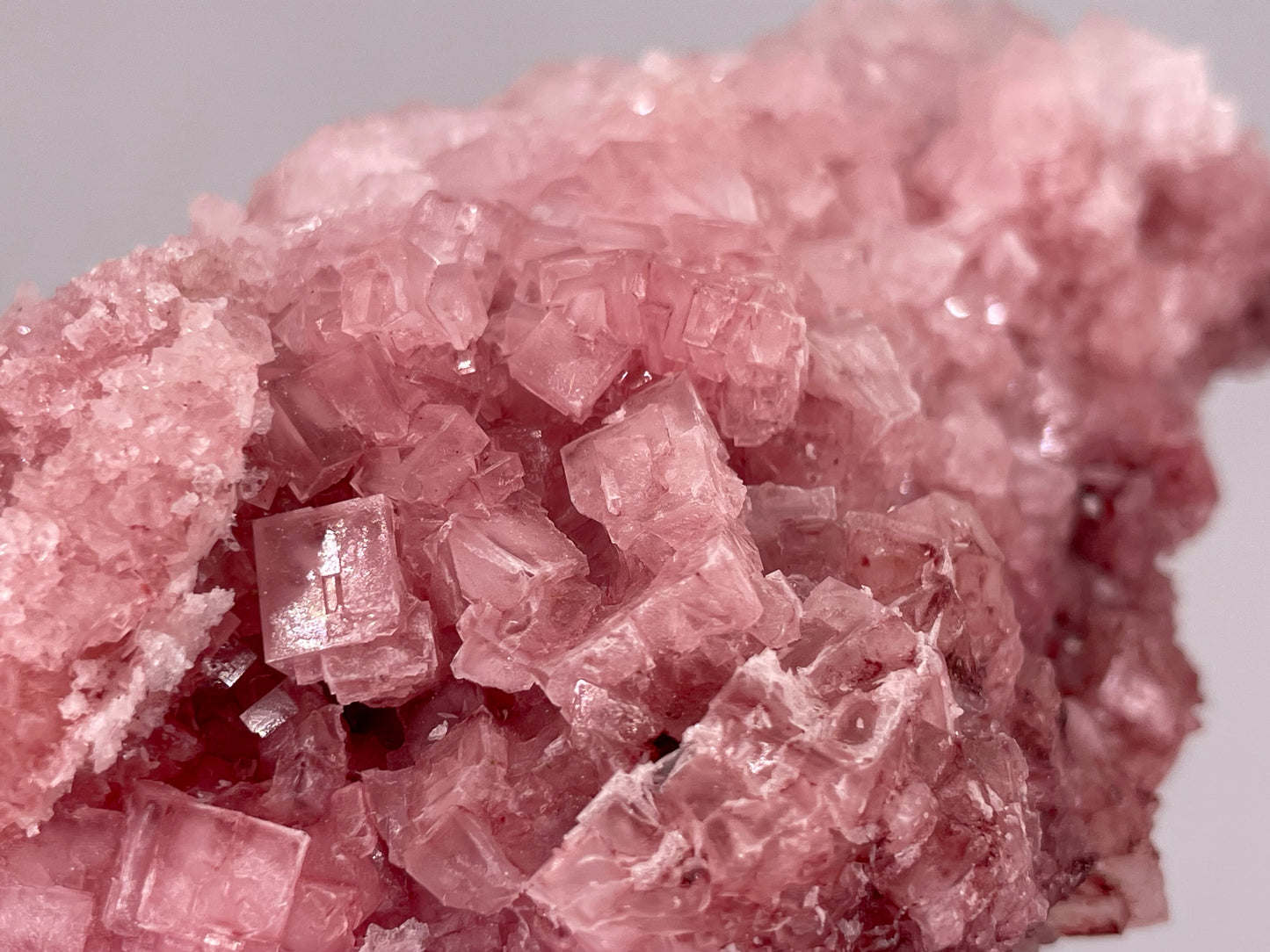 Halite Crystal Cluster || Raw Halite Cluster || Pink Halite - Searles Lake