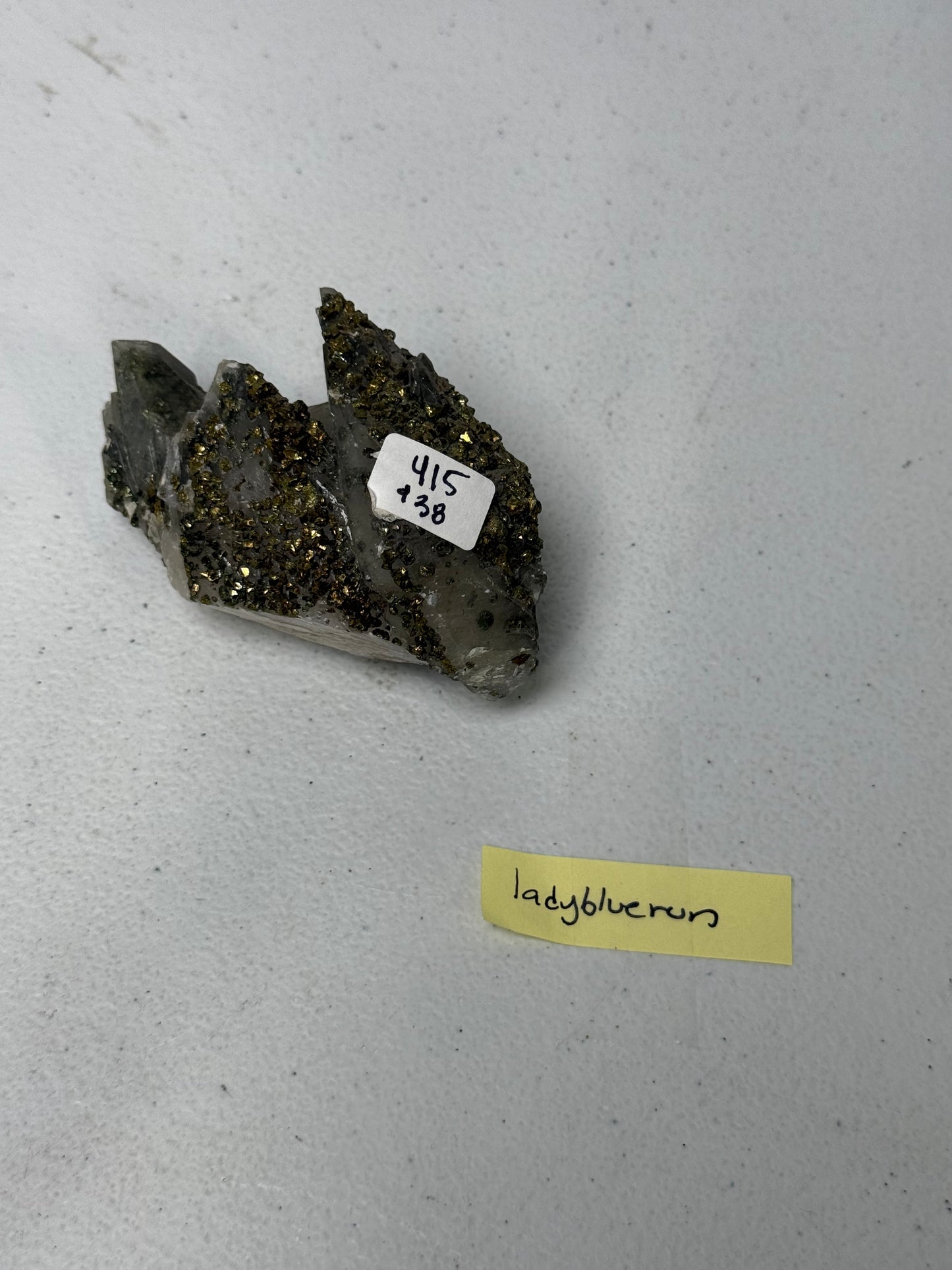 Ladybluerun - Live Sale 6/17