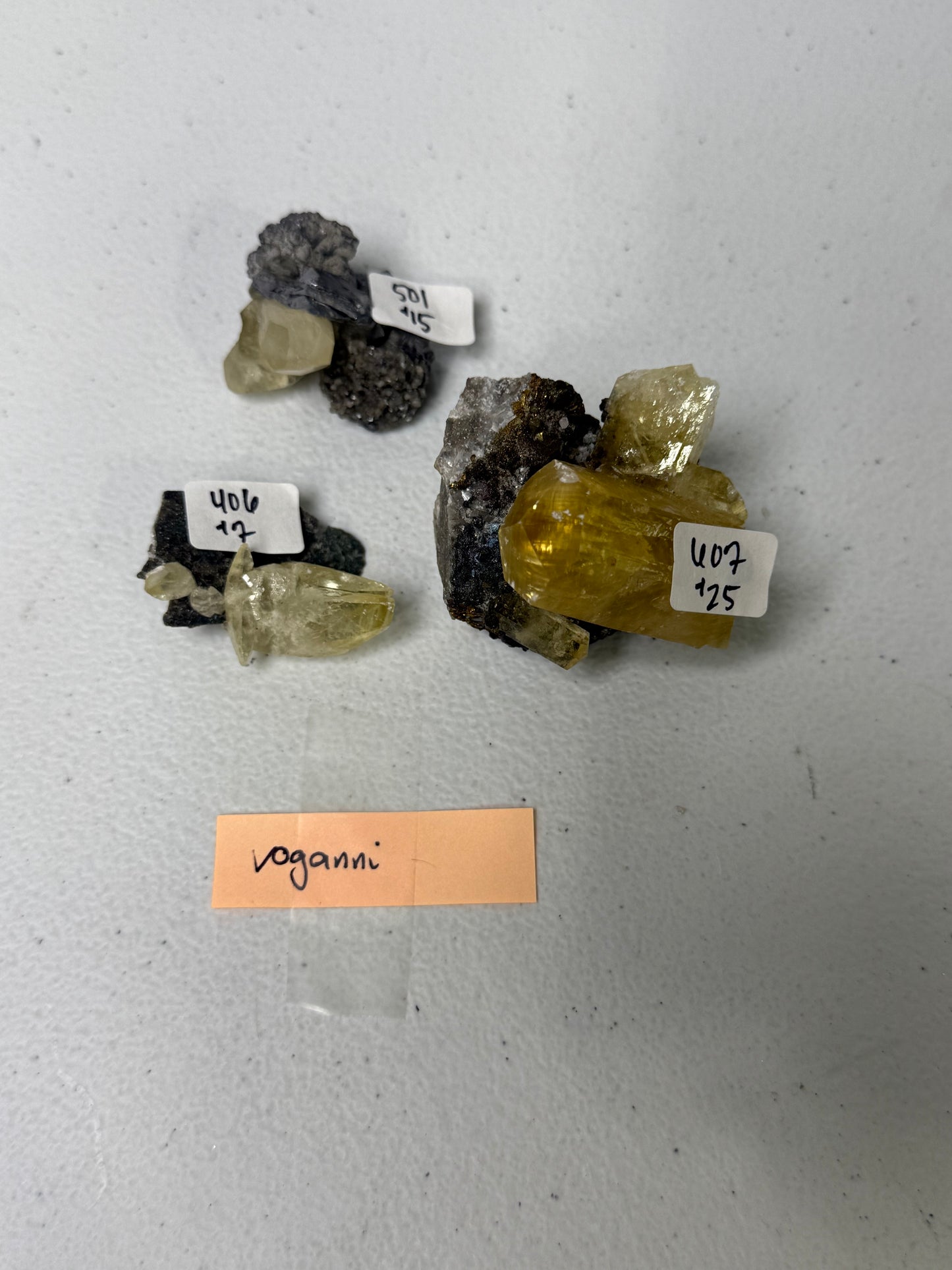Voganni - Live Sale 6/17