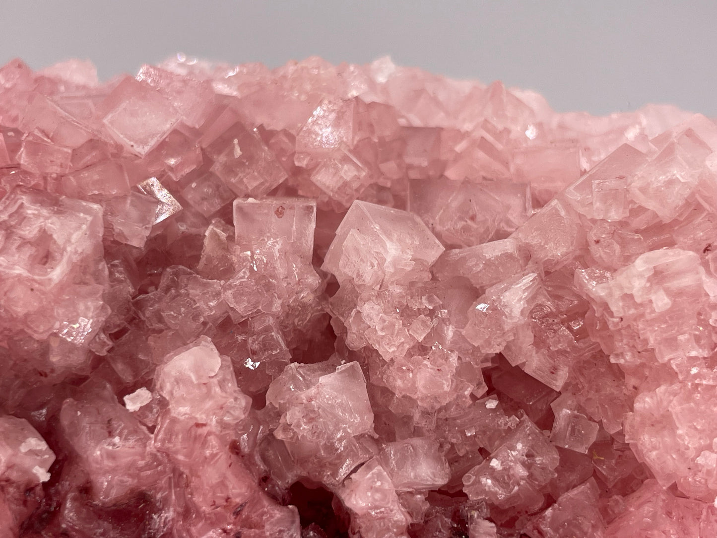 Halite Crystal Cluster || Raw Halite Cluster || Pink Halite - Searles Lake