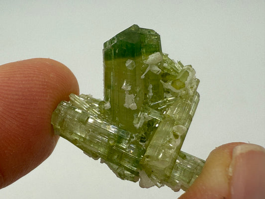 Pistachio Tourmaline || Elbaite Tourmaline || Green Tourmaline with Cleavelandite || Bicolor Green Tourmaline || #78