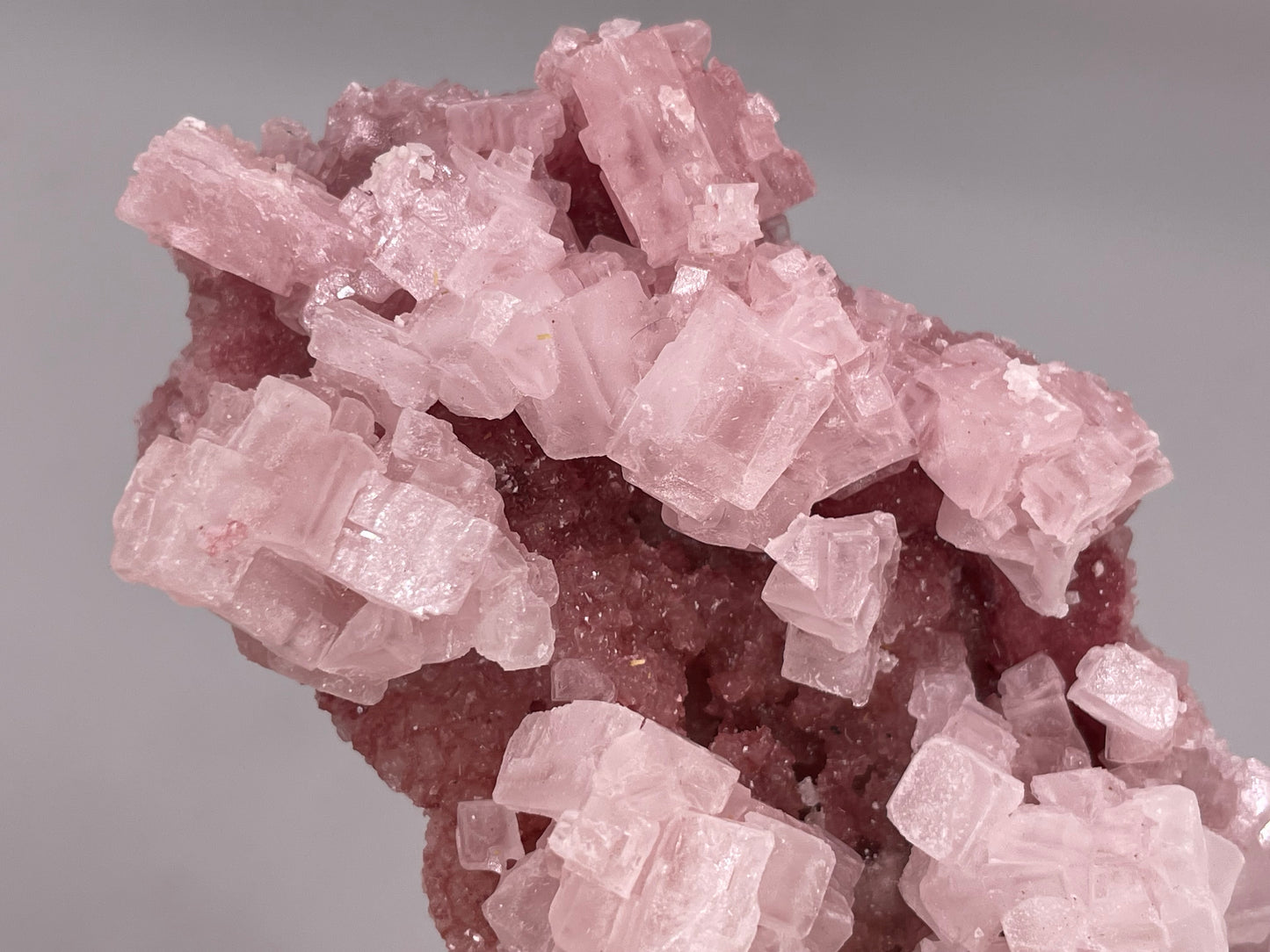 Halite Crystal Cluster || Raw Halite Cluster || Pink Halite - Searles Lake