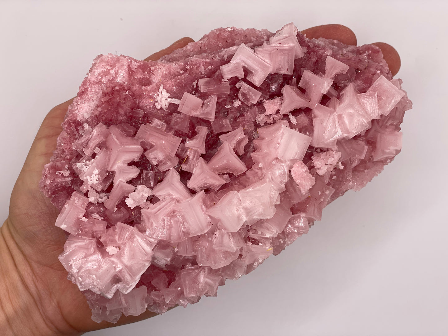 Halite Crystal Cluster || Raw Halite Cluster || Pink Halite - Searles Lake