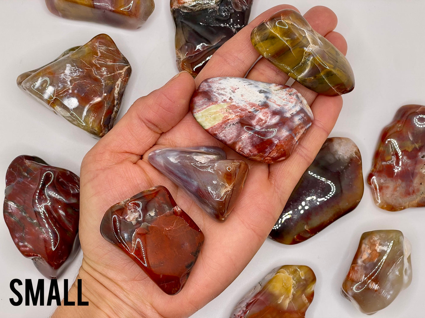 Petrified Wood Tumble || Arizona Petrified Wood || Polished Petrified Wood