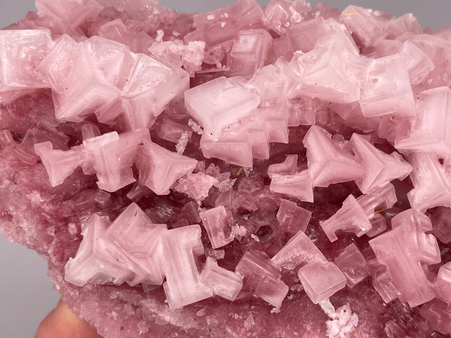 Halite Crystal Cluster || Raw Halite Cluster || Pink Halite - Searles Lake