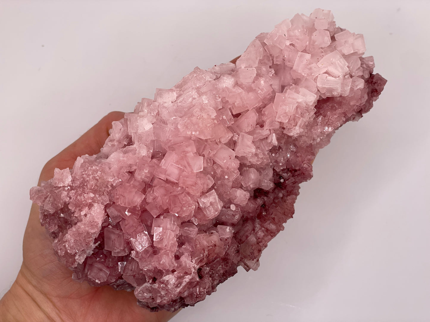 Halite Crystal Cluster || Raw Halite Cluster || Pink Halite - Searles Lake