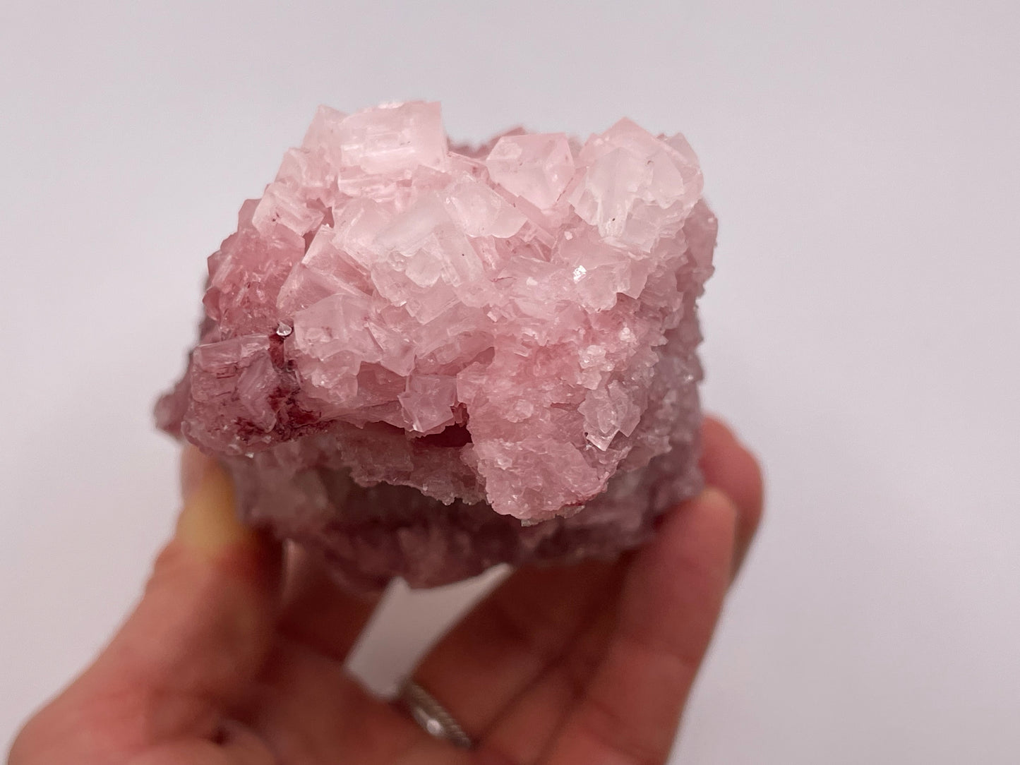 Halite Crystal Cluster || Raw Halite Cluster || Pink Halite - Searles Lake